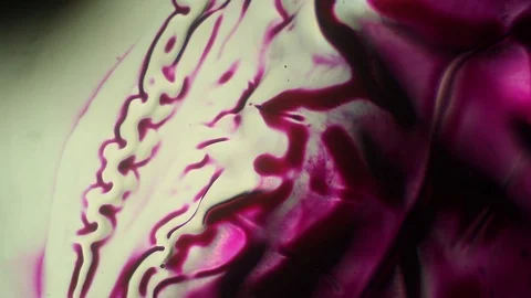 Chemical reaction under microscope Stock Footage 98546554