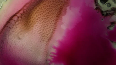 Chemical reaction under microscope Stock Footage 98546633