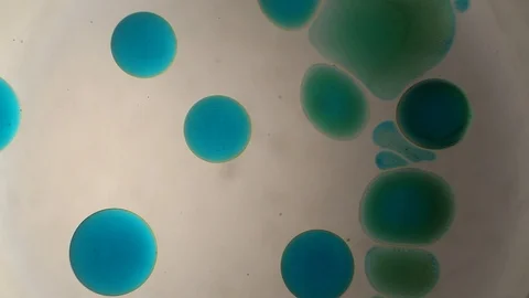 Chemical reaction under microscope Stock Footage 98546700