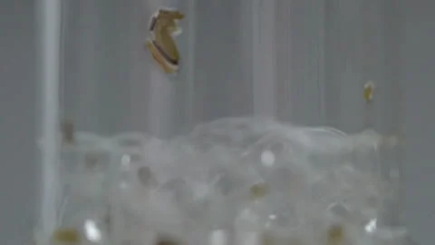 Chemical reactions creating bubbles in laboratory Stock Footage 148017791