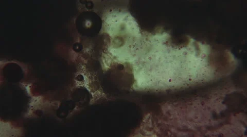 Chemical reactions under microscope Stock Footage 51537918