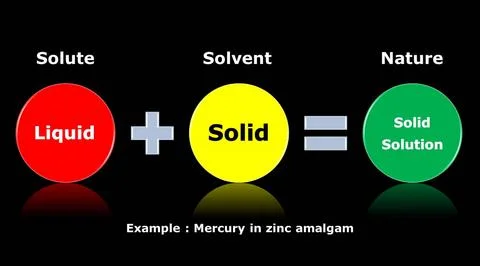 Chemical solution and mixture with solute and solvent. Ilustração Stock