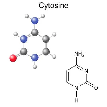 Chemical structural formula and model of cytosine Stock Illustration