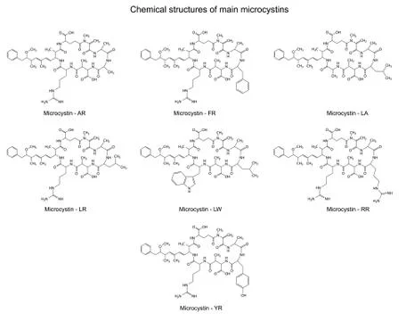 Chemical structural formulas of main microcystins Stock Illustration