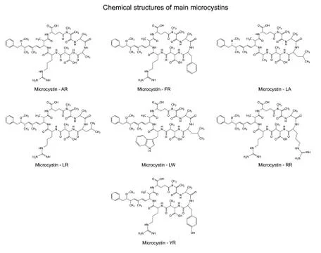 Chemical structural formulas of main microcystins Stock Illustration