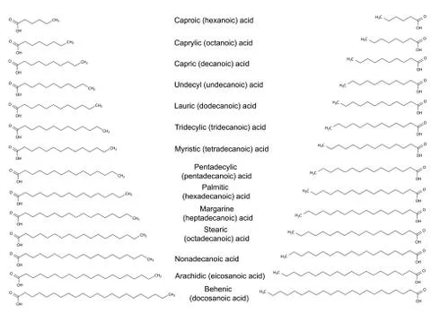 The chemical structural formulas of the major saturated fatty acids Stock Illustration
