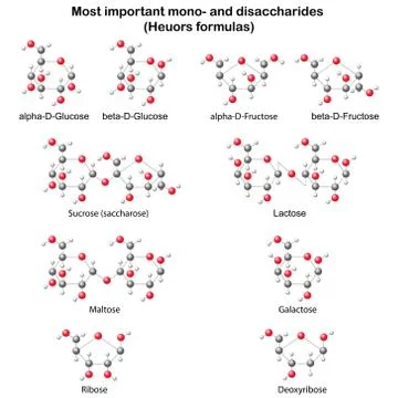 Chemical structural models of main mono- and disaccharides Illustrazione stock
