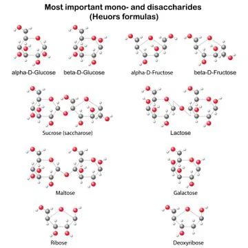 Chemical structural models of main mono- and disaccharides Stock Illustration