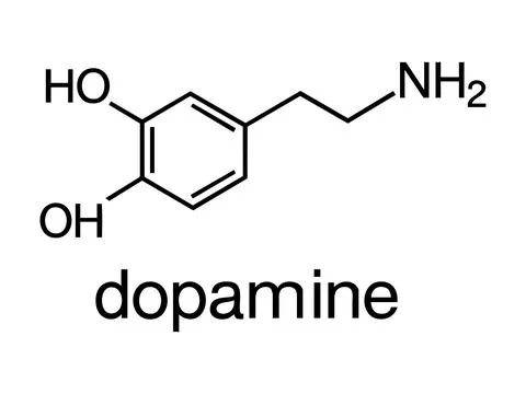 Chemical structure of dopamine molecule, isolated on white background, black  Stock Illustration