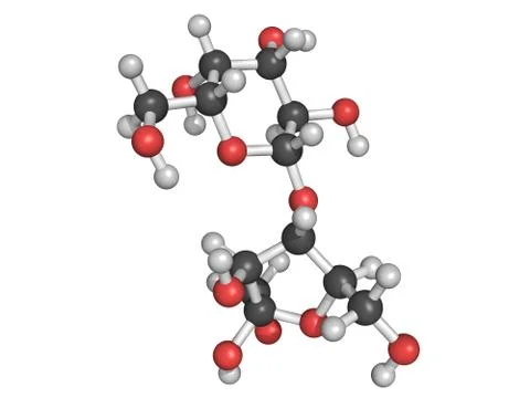 Chemical structure of lactulose Stock Illustration