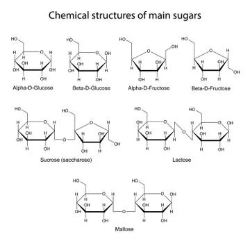 Chemical structures of main sugars: mono- and disaccharides Stock Illustration