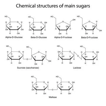 Chemical structures of main sugars: mono- and disaccharides Illustrazione stock