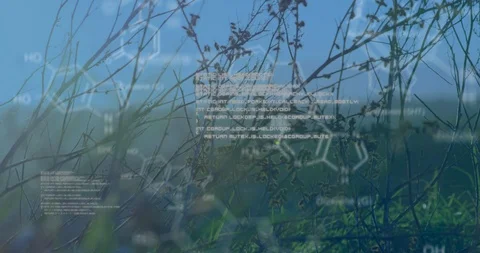 Chemical structures with program codes and a background of grasses and Stock Footage 111494770