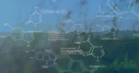 Chemical structures with program codes and a background of grasses and Stock Photos