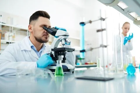 Chemical studies 스톡 사진