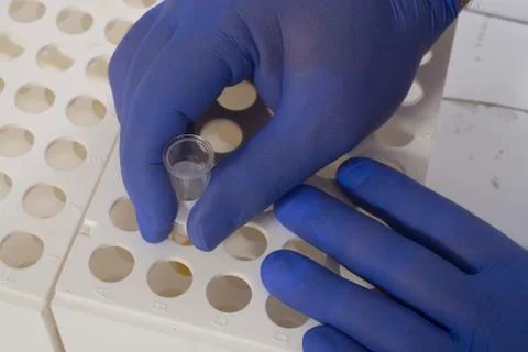 Chemical test Stock Photos