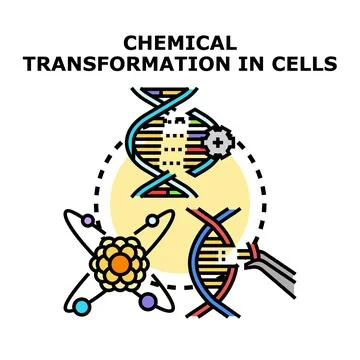 Chemical transformation in cells concept vector Stock Illustration