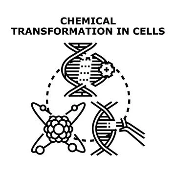 Chemical transformation in cells concept vector Stock Illustration