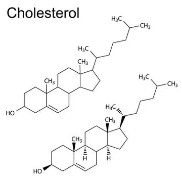 Chemicall formulas of cholesterol molecule Stock Illustration