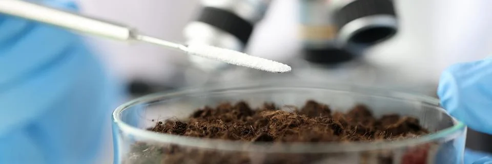 Chemist adding white powder to soil in laboratory Stock Photos