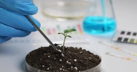 The chemist adds fertilizer to the soil, close-up Stock Footage 243926255
