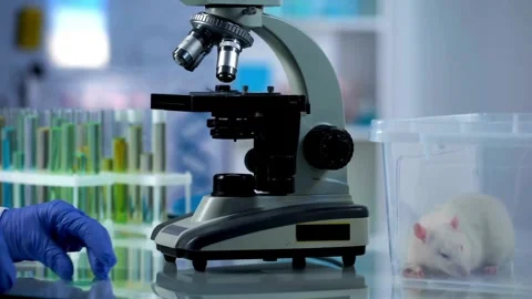 A chemist analyzes crystal formations under a sophisticated modern microscope. Stock Footage 336583339