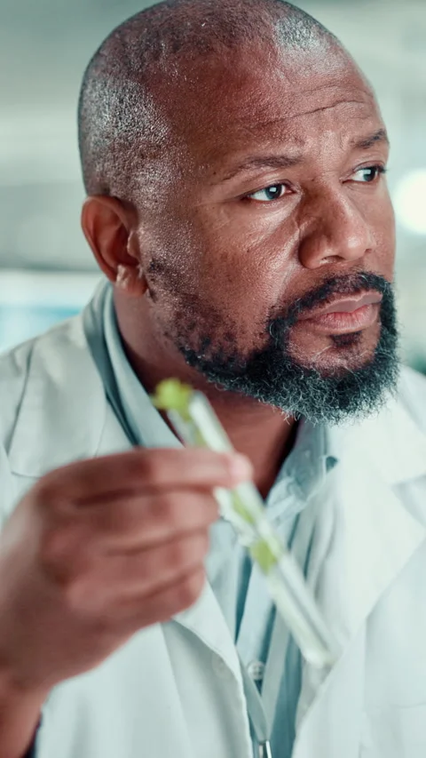 Chemist, black man and plant with test tube in laboratory for botany, medical Video stock 310606341