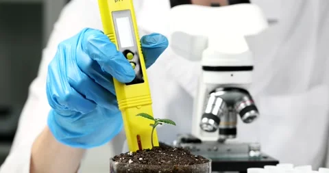 Chemist scientist measuring soil acidity in with plant sprout using ph meter Stock Footage 235672031