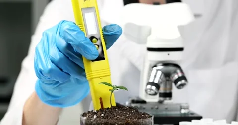Chemist scientist measuring soil acidity in with plant sprout using ph meter Stock Footage 261842109