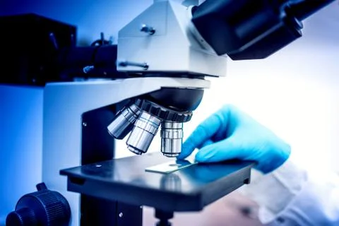 Chemist testing samples with microscope and rubber gloves. Medical chemist Stock Photos