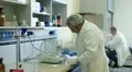 chemist weighing chemical compound HD Footage