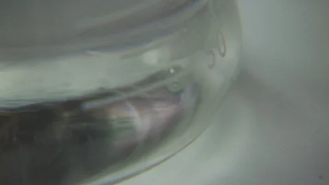 Chemistry Lab Video stock 123920967