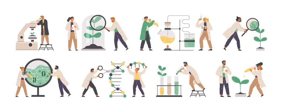 Chemists study cells, plant structure. Biochemical laboratory staff performing 스톡 일러스트