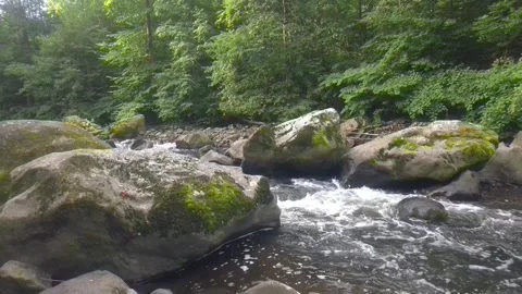 Chemnitz River Rapids Flowing Between Mossy Boulders in Saxony, Germany Stock Footage 345311434