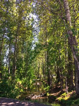 The Cheney Lake perspective view Stock Photos