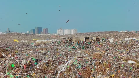 Chennai, India - Aug 8, 2026: Trucks Dumping Garbage Stock Footage 341462585