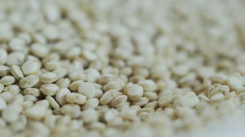 Chenopodium quinoa seeds focus pulling 4K video Stock Footage 171850174