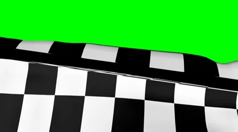 Chequered Flag on Green Stock Footage 8519559