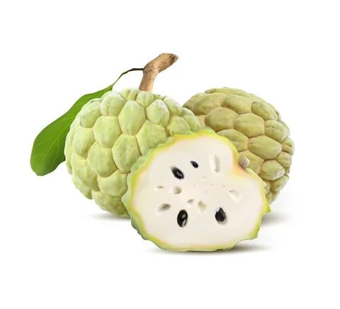 Cherimoya set. Isolated on white background. Sugar apple or custard apple with Stock Illustration