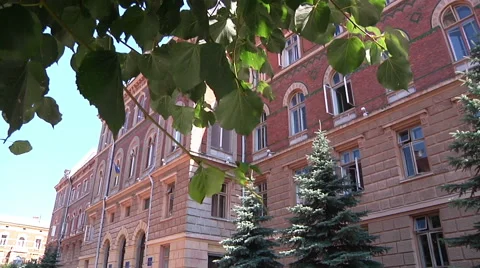 Chernivtsi regional state administration. Trees. Leaves. Video stock 50613987