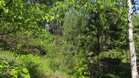 Chernobyl. Pripyat. berth 3 Stock Footage 64351135