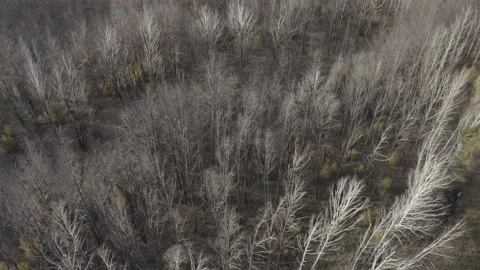 Chernobyl. Rusty machinery. Stock Footage 163960739