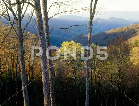 Cherokee National Forest, Great Smoky Mountains National Park, North Carolina Stock Photos