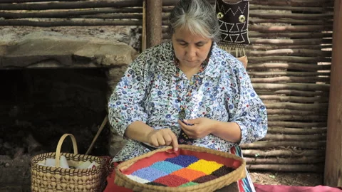 Cherokee woman doing beadwork. Stock-Footage 132434517