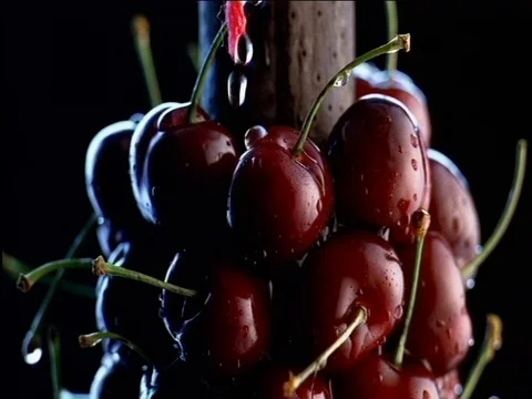 Cherries 3 Stock Footage 84110121