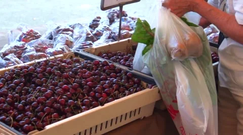 Cherries and carries multiple bags of produce at a market. Stock Footage 59083983