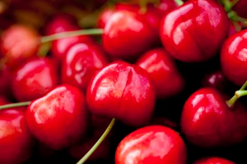 Cherries on apile macro Stock Photos