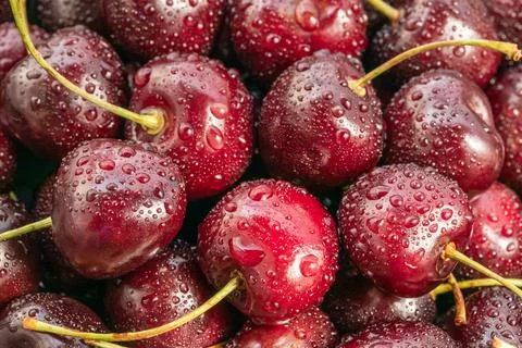 Cherries background, cherries with water drops ,food background, close up Stock Photos