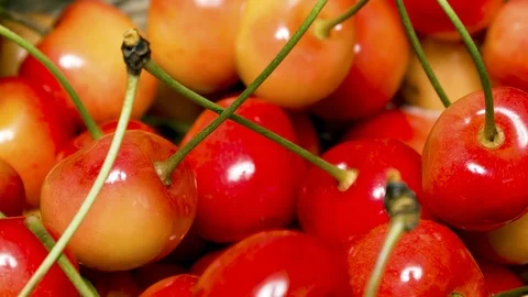 Cherries in Basket Close Up Panning 動画素材 125549733