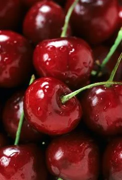 Cherries in a basket Stock Photos